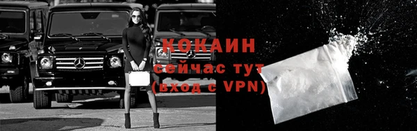 стаф Балахна