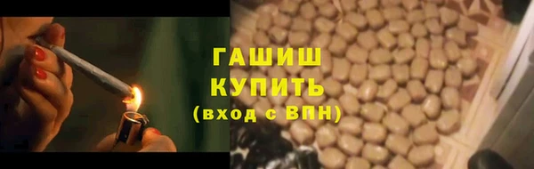 стаф Балахна