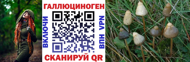 Псилоцибиновые грибы прущие грибы  Нязепетровск 