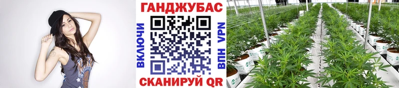 Конопля индика  наркошоп  гидра ссылка  Нязепетровск 